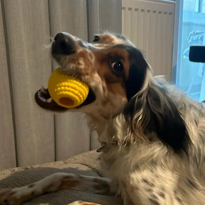 Power Chewer Ball